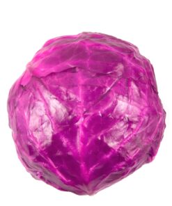 RED CABBAGE