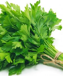 BUNCH OF PARSLEY