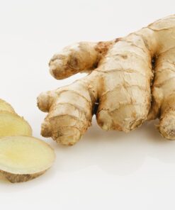 GINGER