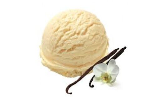 MADAGASCAR VANILLA ICE CREAM
