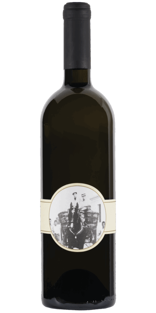 PANAGIOTOU WINERY ORANGE WINE 750ml